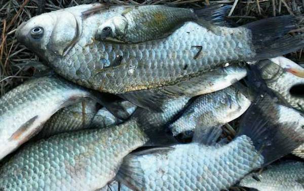 钓鱼时间怎么选择?没有固定答案,季节不同钓鱼最佳时间也不同!