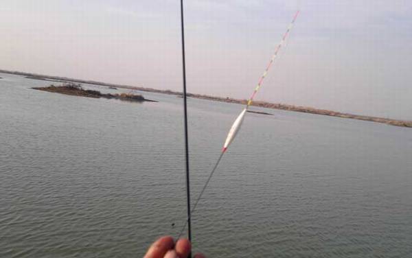 调几钓几是什么意思?新手可能弄不明白,但理解起来非常简单!