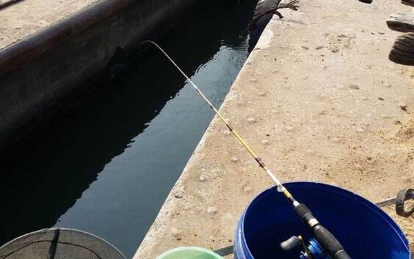 筏钓_入门技巧_线组搭配_正确钓法