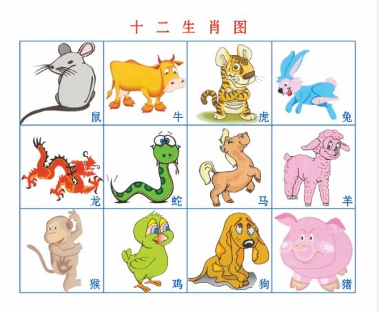 十二生肖 十二生肖属相最相配的植物 看看你的生肖适合养什么植物