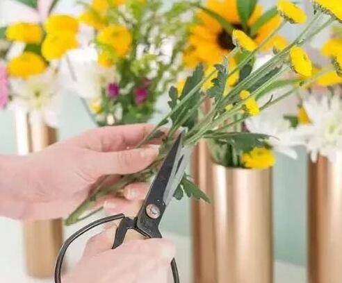 新手第一次插花要醒花,什么是醒花怎么弄