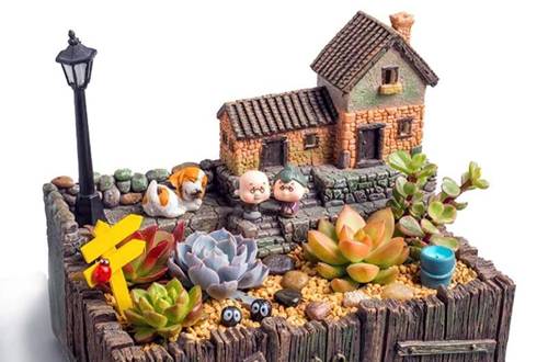 1550759971123970.jpg 花卉盆景教你怎么装饰更好看