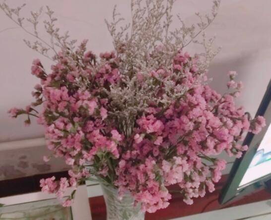 来看看家里的干花受潮长毛了怎么办