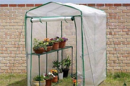 冬天养花怎么保温?几种花卉保温方法分享