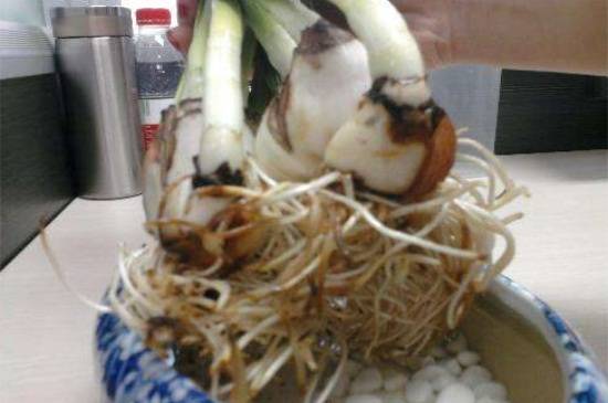 水仙花烂根发臭还能救吗?修根方法介绍