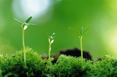 ����������軨�翪��