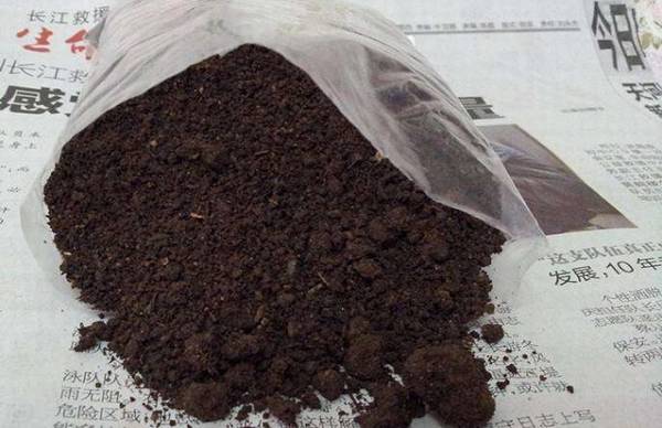 盆栽绿植表面上铺什么生长旺盛