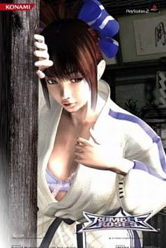 假期推荐游戏:搏击玫瑰