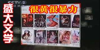 央视称盛大文学很黄很暴力