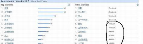 解读谷歌中国低俗门,谷歌被陷害证据不足?