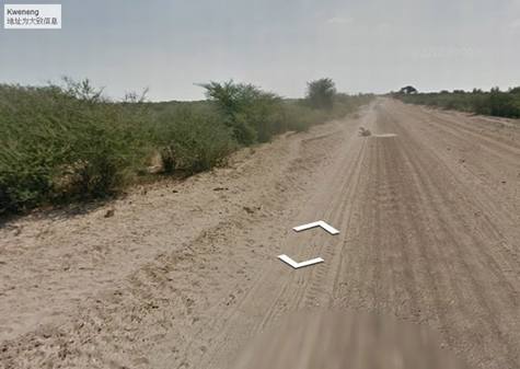 谷歌街景车疑撞死一头驴