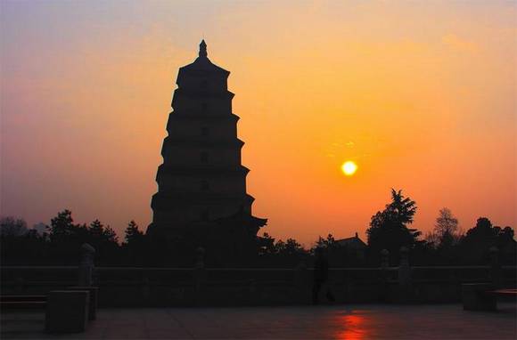 �Ŷ�����������������������