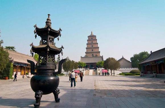 �Ŷ�����������������������