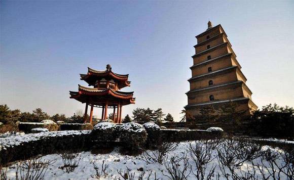 �Ŷ�����������������������