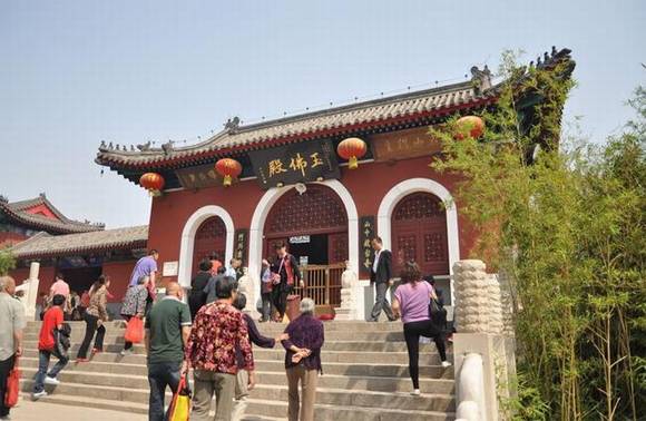 ����ɽҩ��������