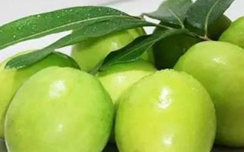 家庭青枣酒怎么酿制