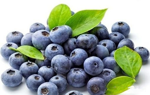 烤酒技术之家庭蓝莓酒自酿方法过程