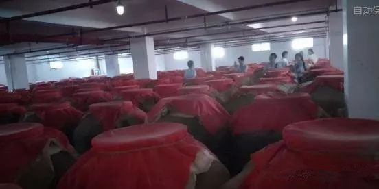 封坛酒的8大秘密是什么?不知道的赶紧看