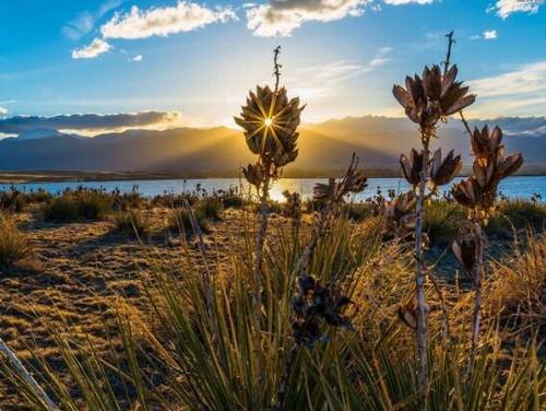 带有斜阳的诗句