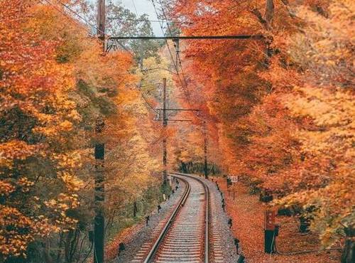 初中用典的诗句