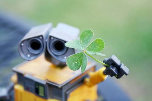 庐江古诗总决赛