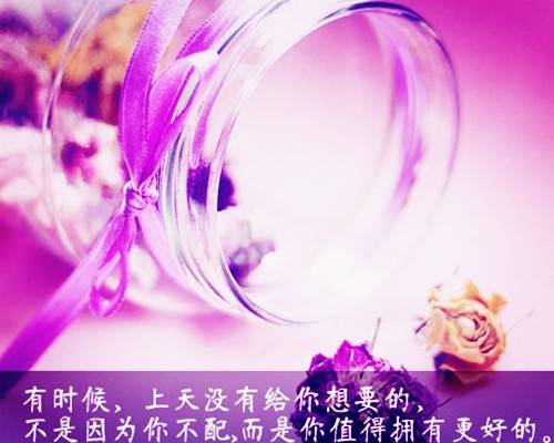 喝桂花酒的诗句