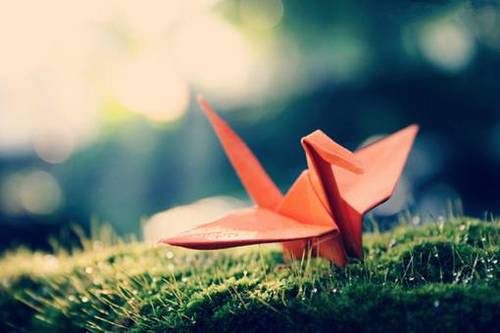 站在花的中间的古诗