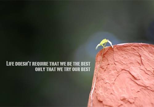 古诗词带木字旁的