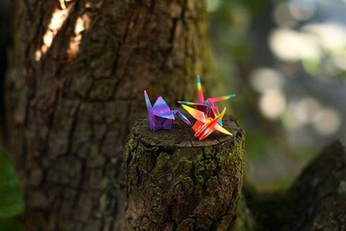 介绍贵阳导游词