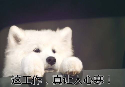 形容征服黄河的诗句