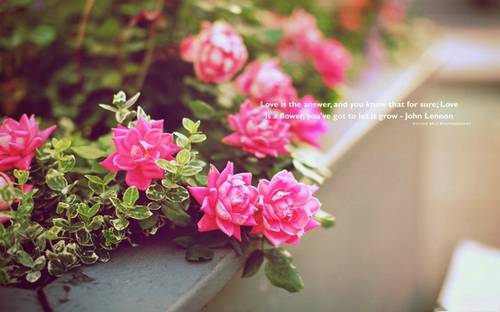 表达从南方回来的诗句