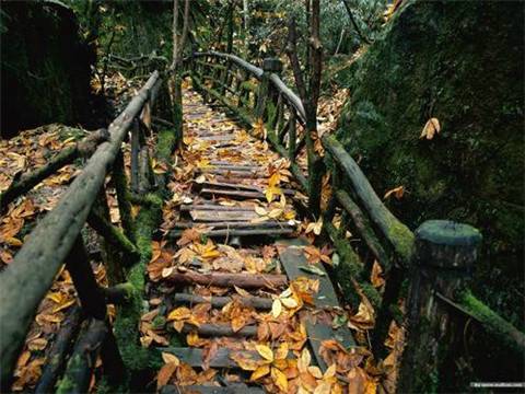 写春的诗句及出处