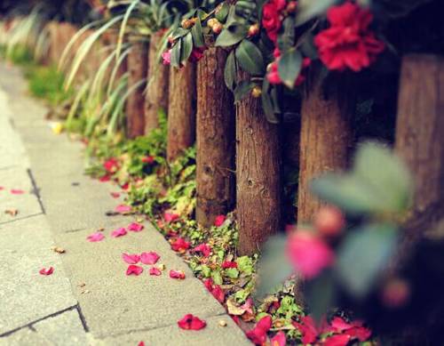 导游词介绍自己简短