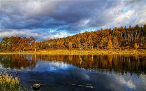 洒脱不修边幅的诗句