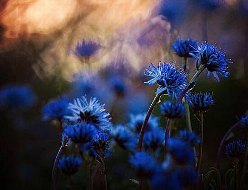 夸老婆年轻漂亮的诗句