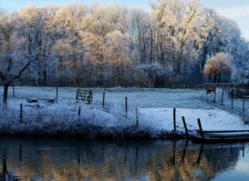 评价薛宝钗的诗句