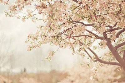 英文导游词大足石刻