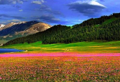 我国历史文化导游词