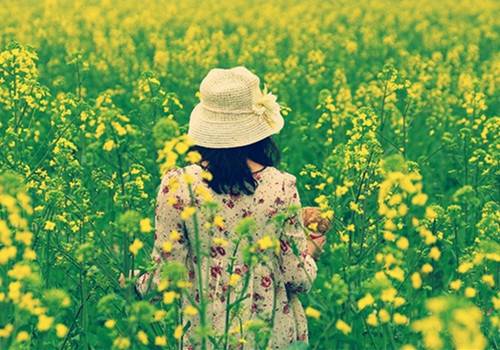 被喜欢的人冷落诗句