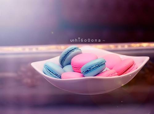 四面山详细的导游词