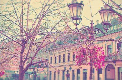 华清池导游词五十字