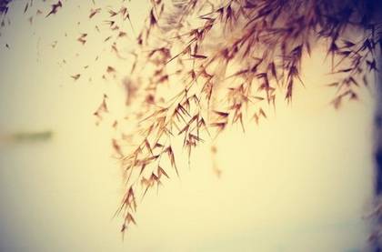 始信峰景观区导游词