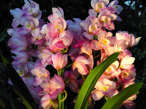 雨后天晴的诗句