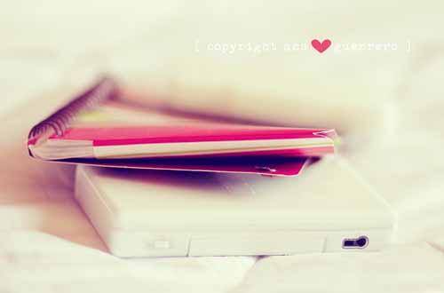 形容九月九日的古诗