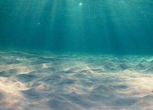 比喻的小学古诗