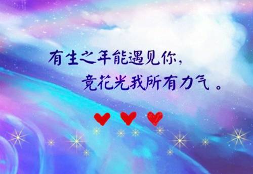 绿头鸭的古诗朗诵