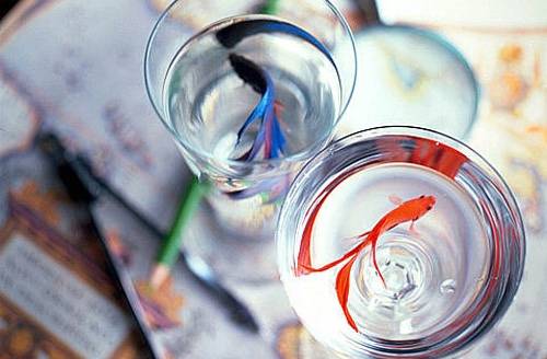 二年级古诗桂花