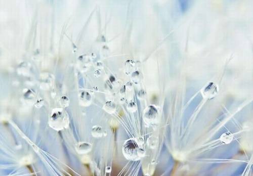 家乡的美景导游词