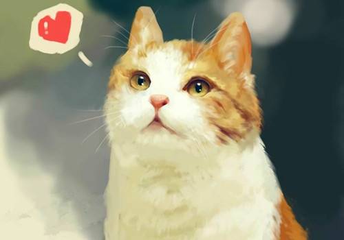 长相恩的古诗意思