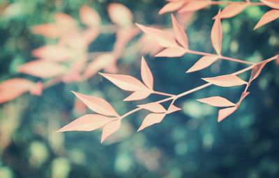 秋日宋朱熹的古诗注音